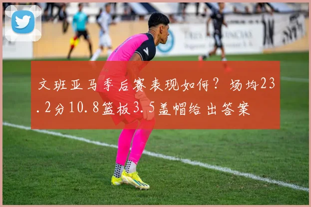 文班亚马季后赛表现如何？场均23.2分10.8篮板3.5盖帽给出答案