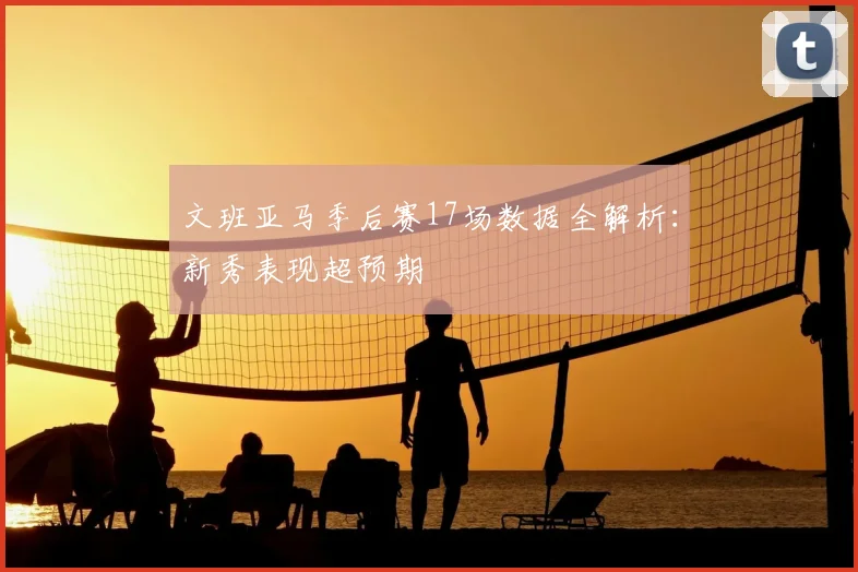 文班亚马季后赛17场数据全解析：新秀表现超预期