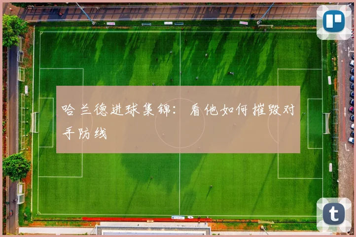 哈兰德进球集锦：看他如何摧毁对手防线