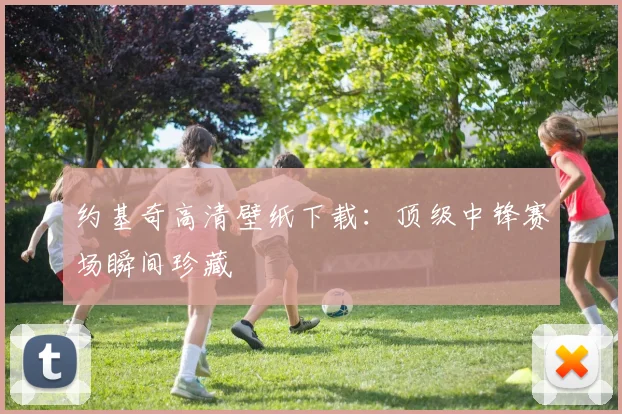 约基奇高清壁纸下载：顶级中锋赛场瞬间珍藏